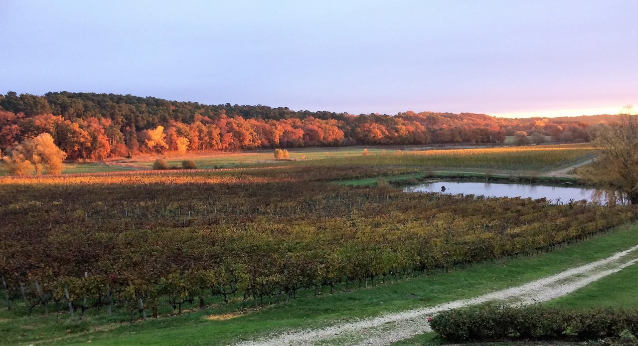 Pey La Tour - Logis Hotels & Restaurant Salleboeuf エクステリア 写真