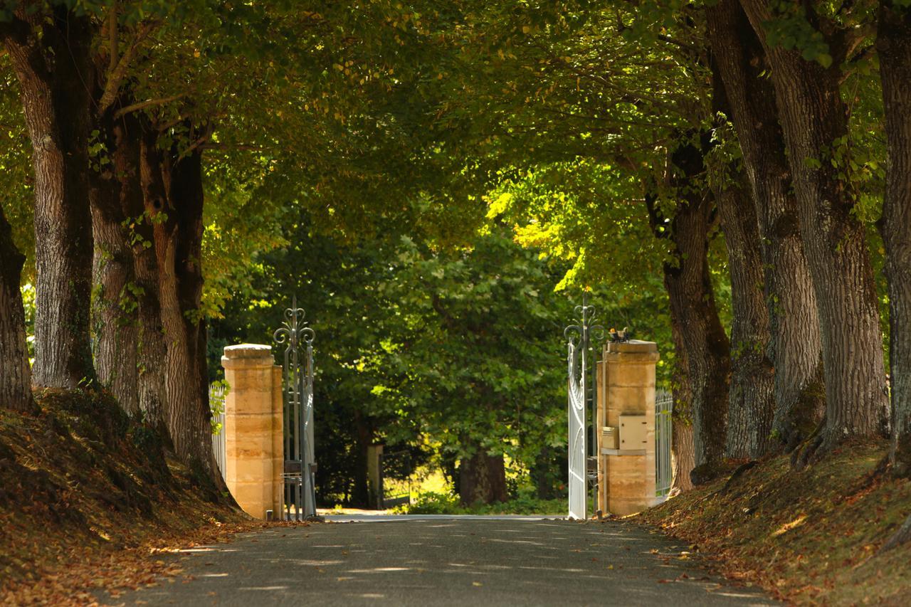 Pey La Tour - Logis Hotels & Restaurant Salleboeuf エクステリア 写真